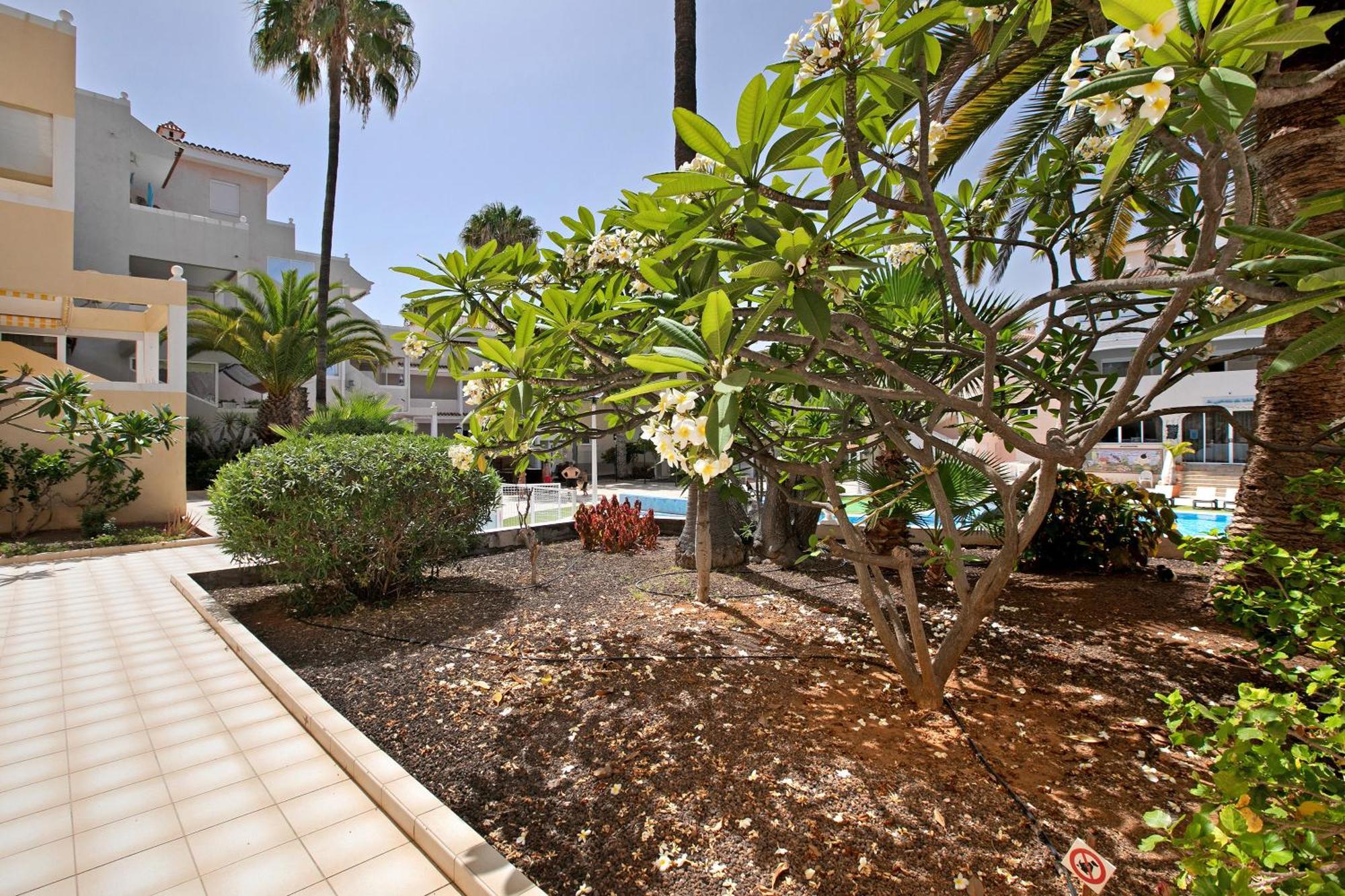 Breeze Island Apartment Chayofa Luaran gambar